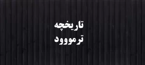 تاریخچه ترمووود