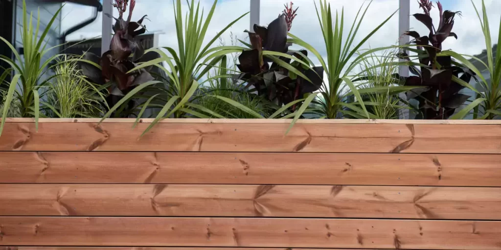 ترمووود در روفگاردن