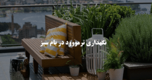 ترمووود در بام سبز